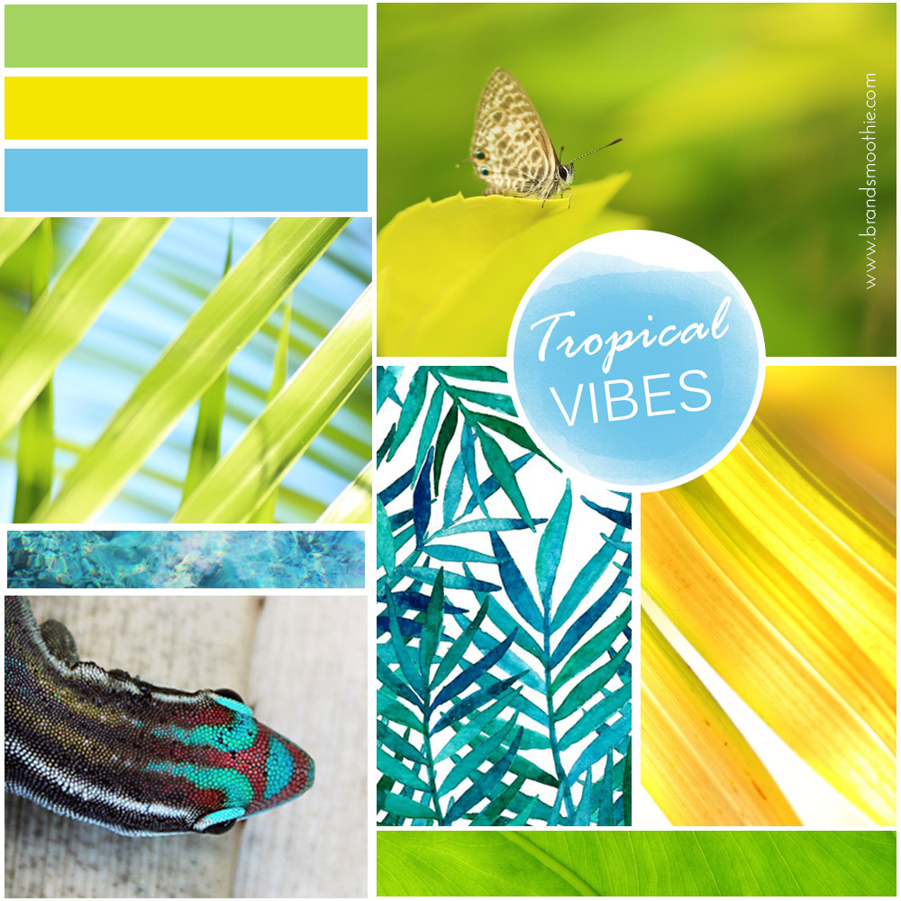 Stephanie Manuel Photography moodboard by Brand Smoothie