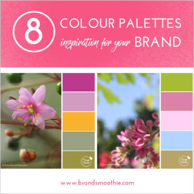 8-colour-palettes-inspiration-for-your-brand-by-brand-smoothie