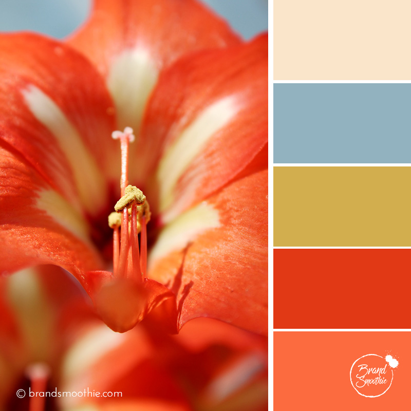 bs-colour-palette-red-lily