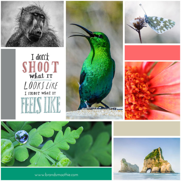 Female Nature Photography Branding and Moodboard