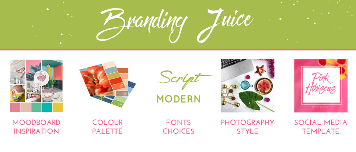 Brand Smoothie Branding Juice package for business starter